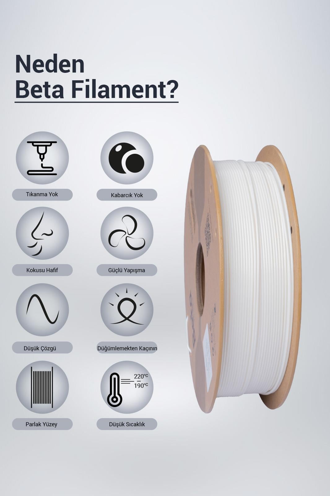 Beta ABS+ Filament White