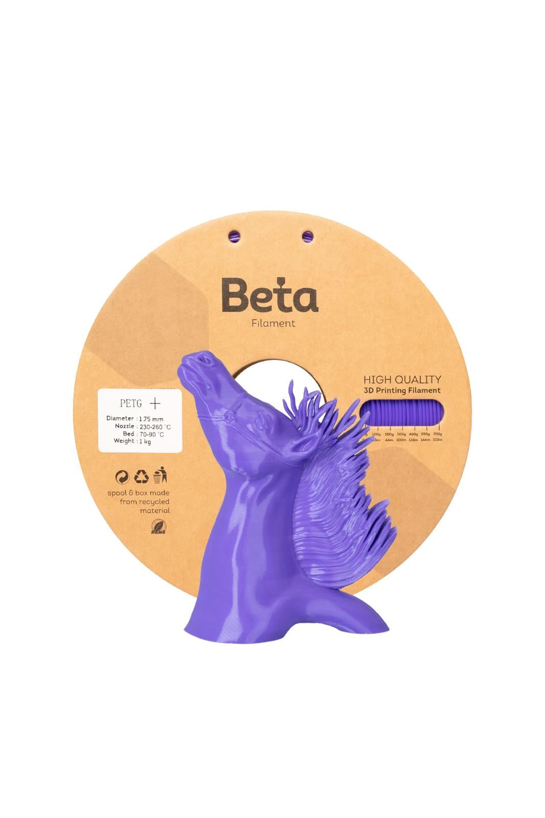 Beta PETG+ Filament Purple