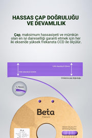 Beta PLA High-Speed Filament Beta Purple